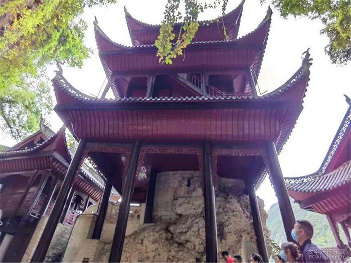 大乐透第12期晒票:季节轮回中的生命力,寒尽春生,心灵的觉醒之旅